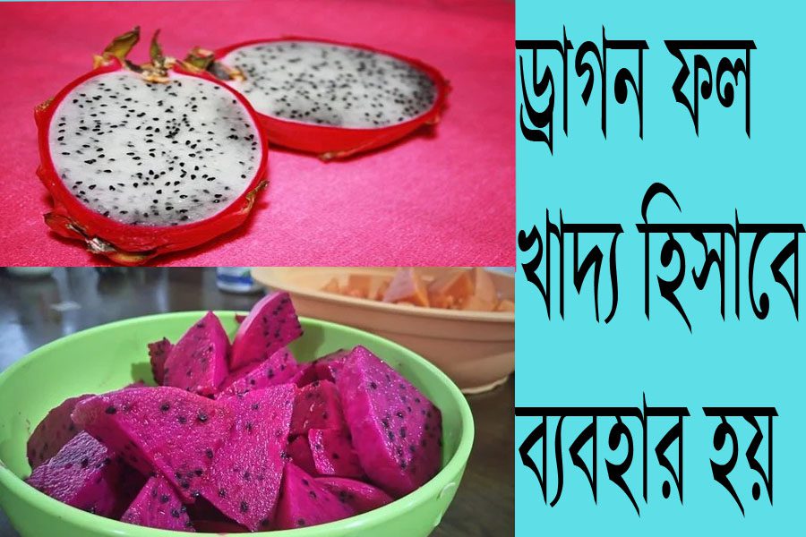 Dragon Fruit in India